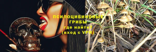 spice Белокуриха