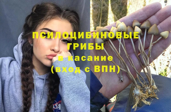spice Белокуриха